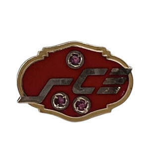 VTG SCE Southern California Edison 10K Yellow Gold Employee Award Pin 2.3g Ruby